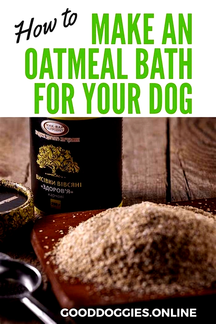 is an oatmeal bath good for dogs