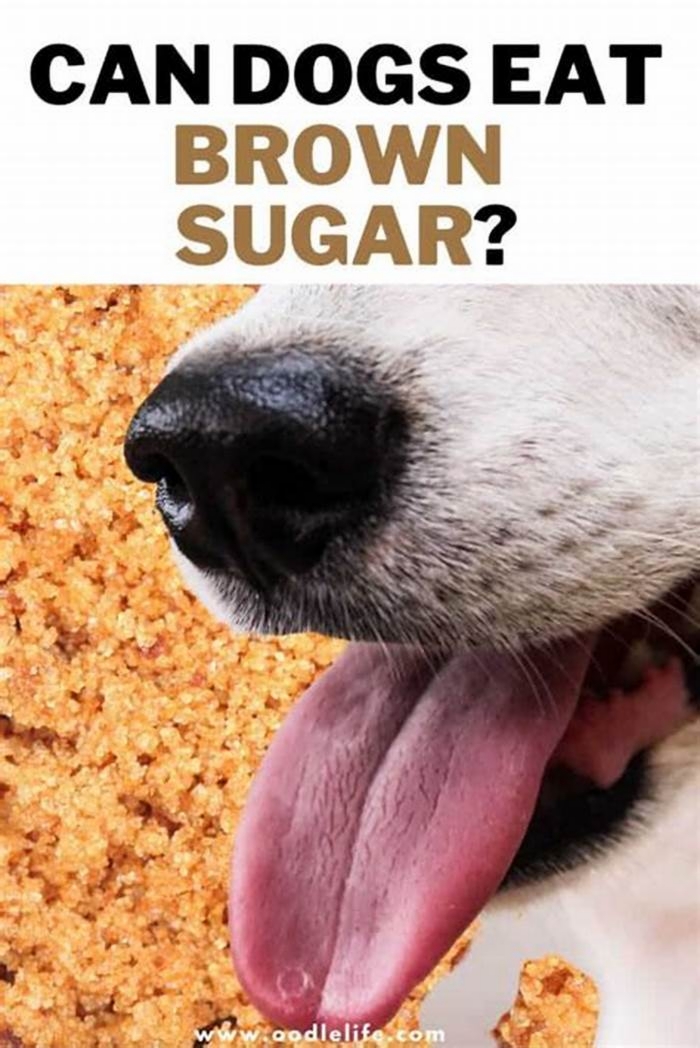 is brown sugar oatmeal bad for dogs