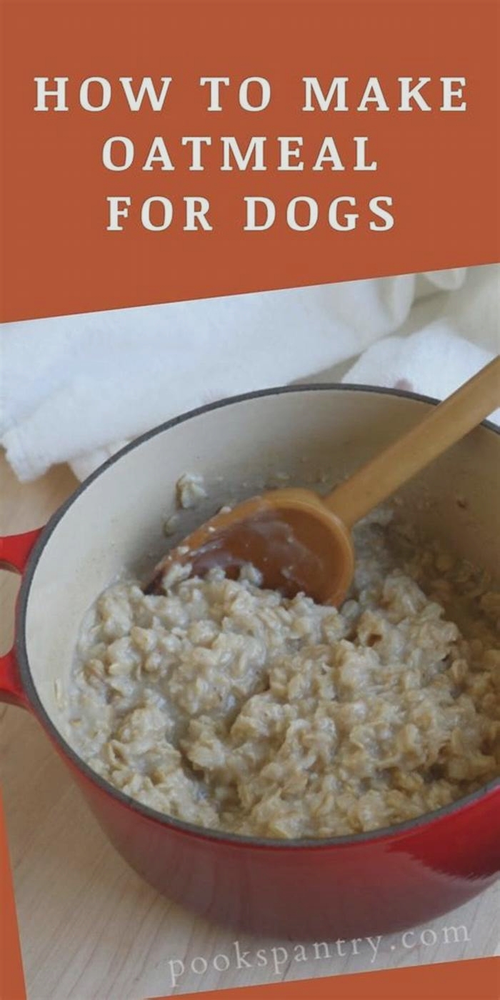 is brown sugar oatmeal good for dogs