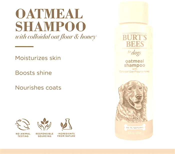is burt's bees oatmeal shampoo good for dogs