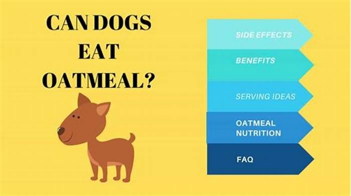 is it bad for dogs to eat oatmeal