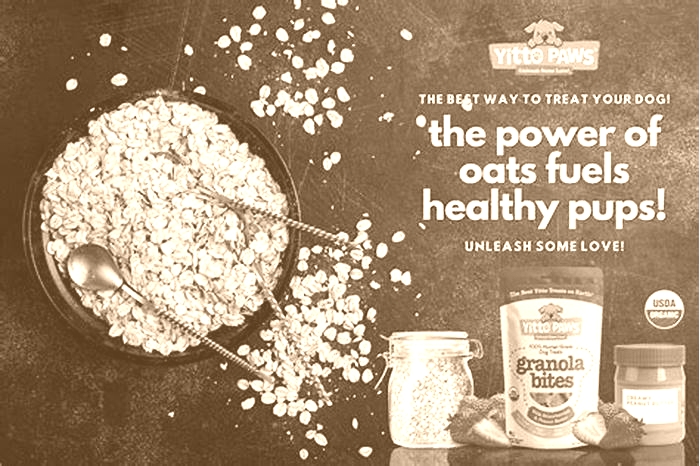 is oat fiber safe for dogs