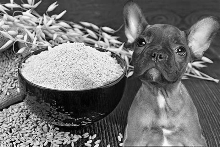 is oat flour bad for dogs