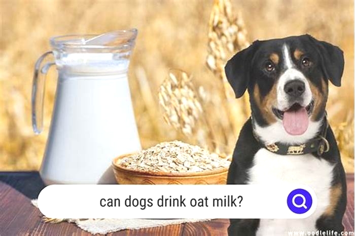 is oat milk good for dogs to drink