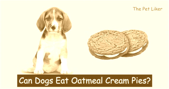 is oatmeal cream pies good for dogs