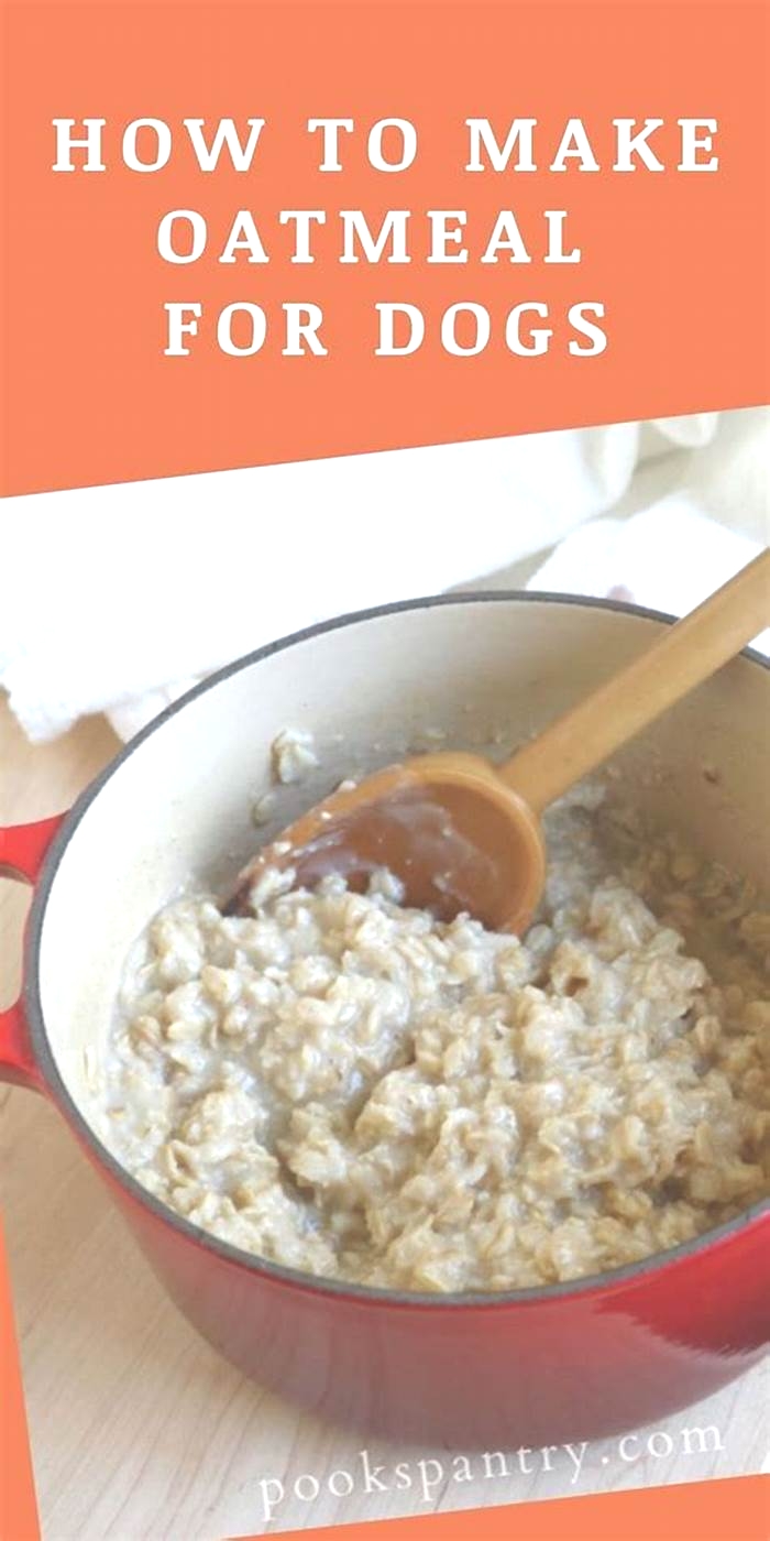 is oatmeal good for dog food