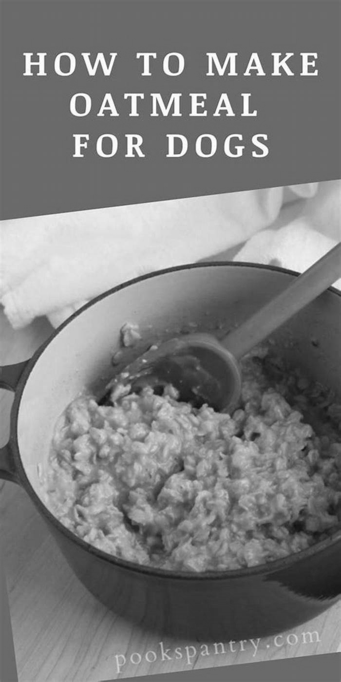 is oatmeal good for dogs with pancreatitis