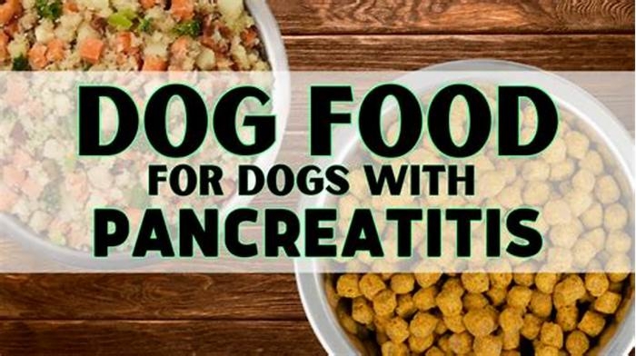 is oatmeal good for pancreatitis in dogs