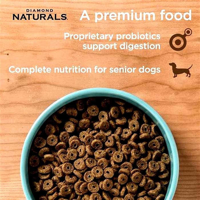 is oatmeal good for senior dogs