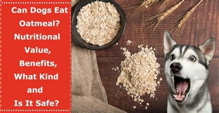 is oatmeal poisonous to dogs