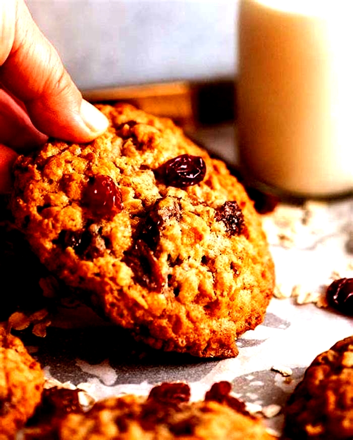 is oatmeal raisin cookies good for dogs