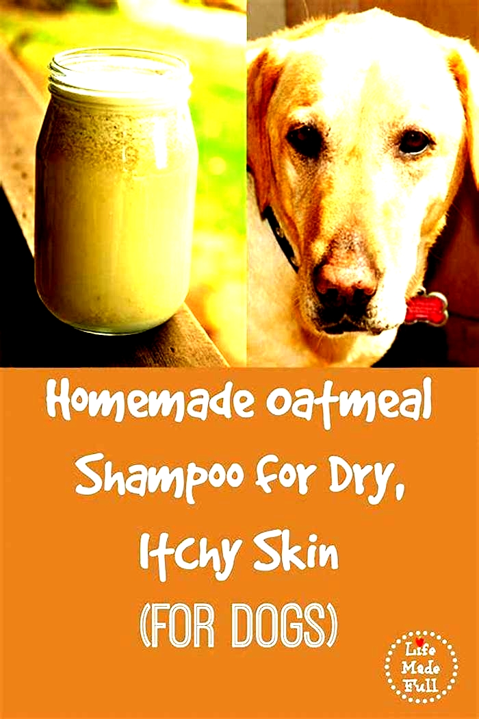 is oatmeal shampoo bad for dogs skin