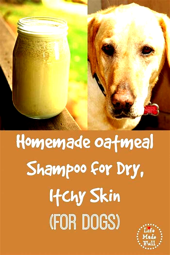 is oatmeal shampoo bad for dogs