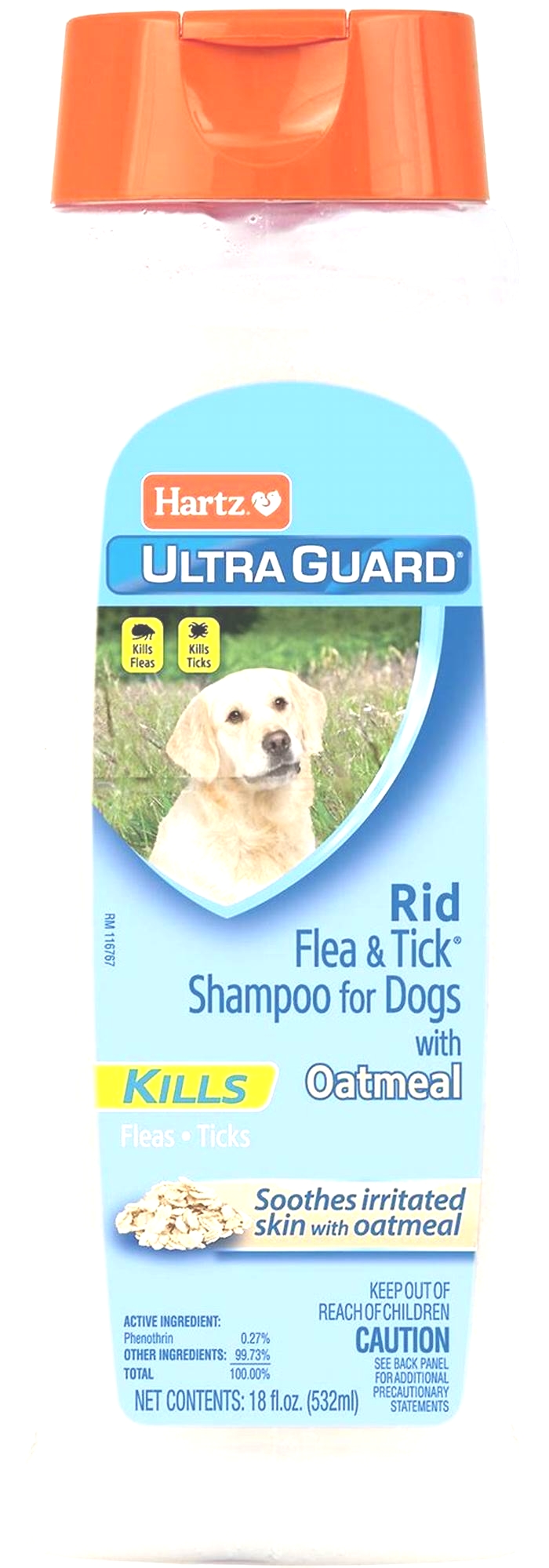 is oatmeal shampoo good for dogs with fleas