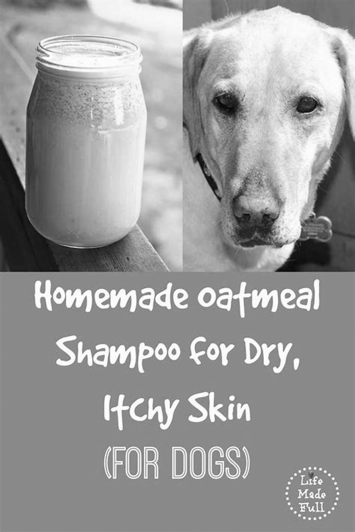 is oatmeal shampoo good for itchy dogs