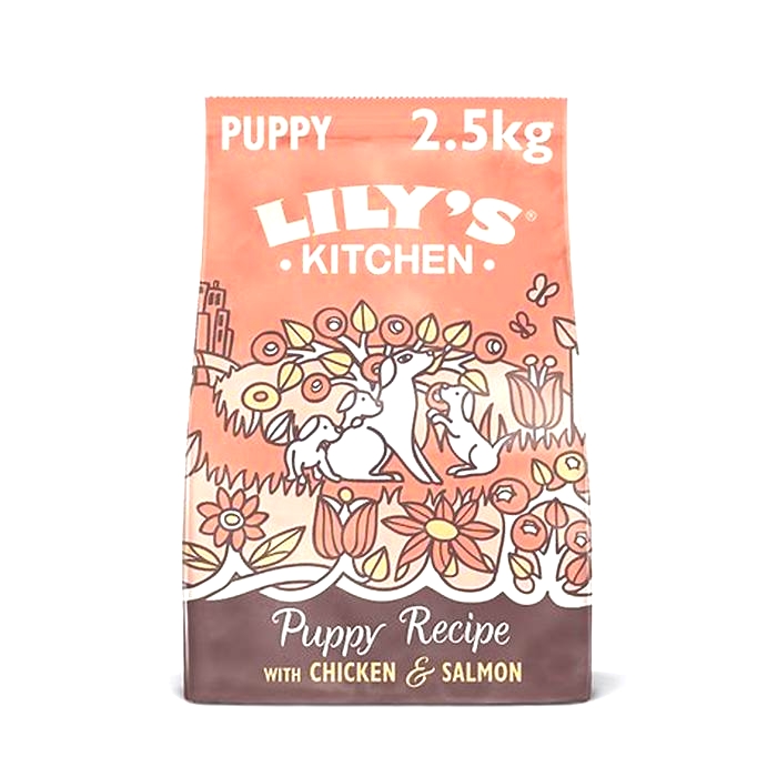 lily's kitchen dog food