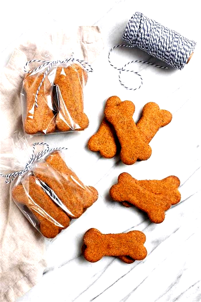 low calorie dog treats homemade