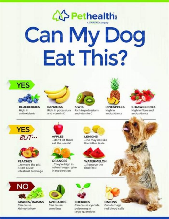 low calorie fruits and vegetables for dogs