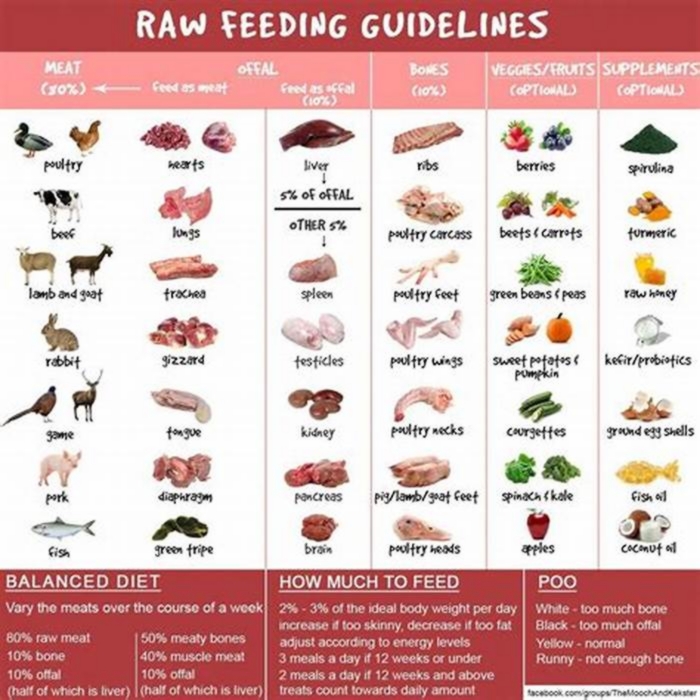 low fat raw diet for dogs