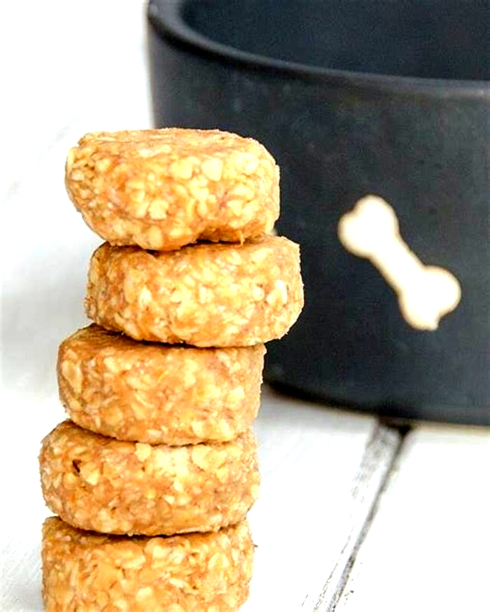 no bake dog treats