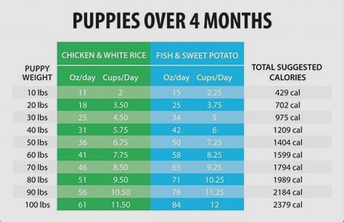 nutrisource large breed puppy feeding chart