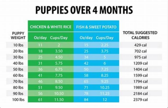 nutrisource large breed puppy food feeding chart