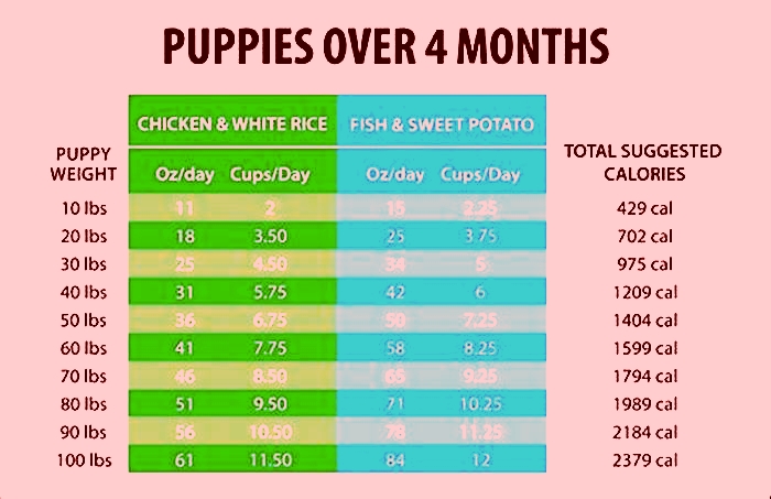 nutrisource puppy feeding chart