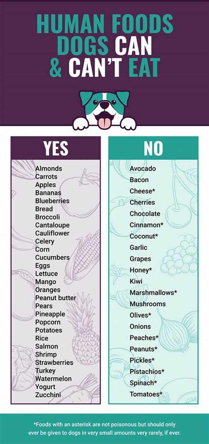 printable list of foods dogs can and cannot eat