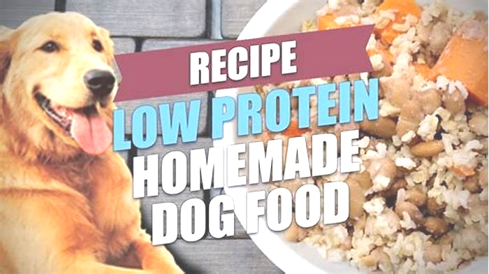 protein food for dogs homemade