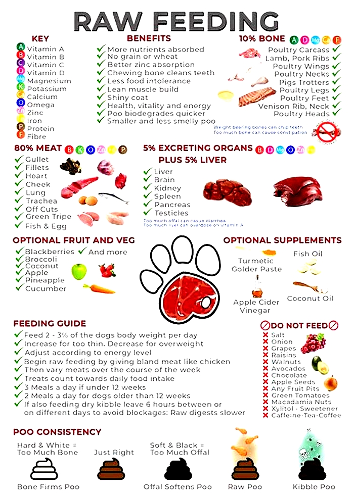 raw feeding websites