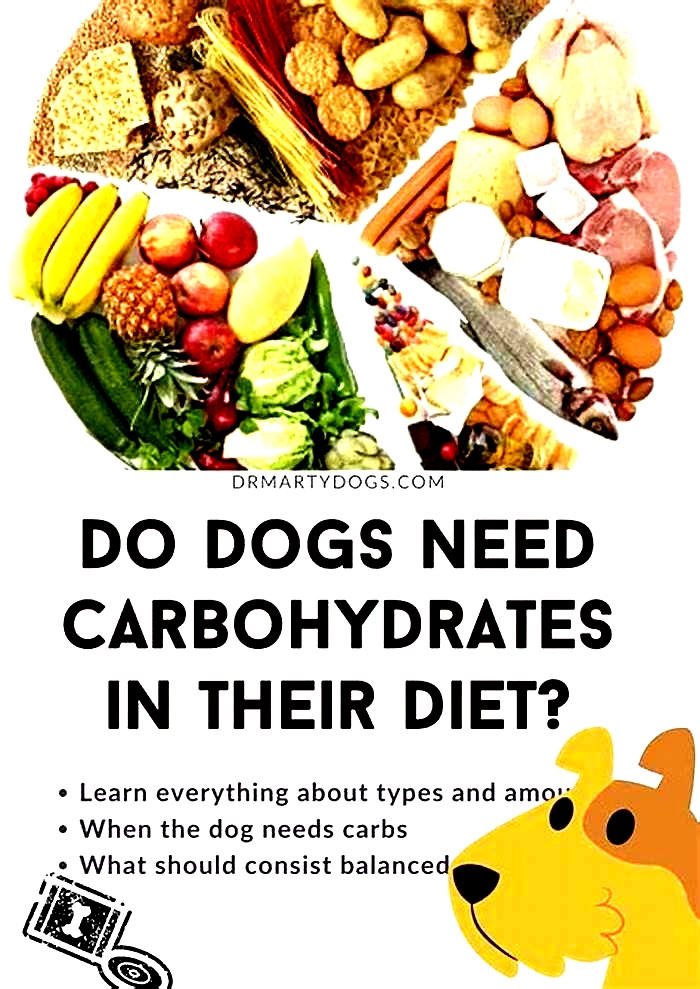 Should dogs have more protein or carbs?