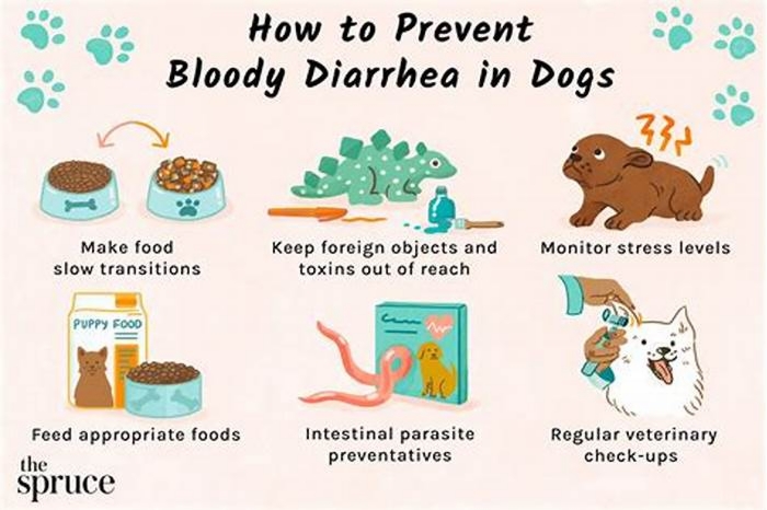 should i feed my dog after vomiting and diarrhea