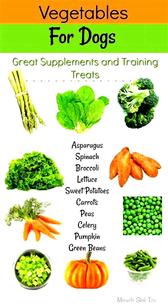 vegetables for dogs with kidney disease