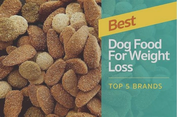 vet recommended dog food for weight loss