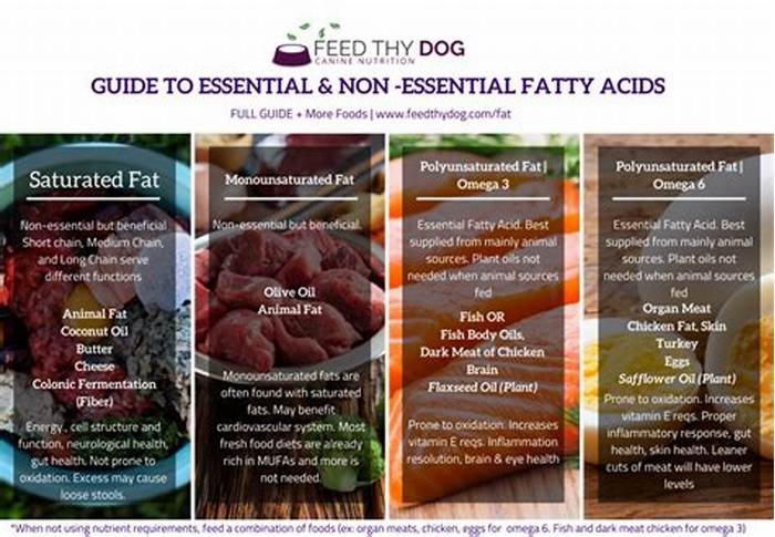 What are the best fats for dogs?