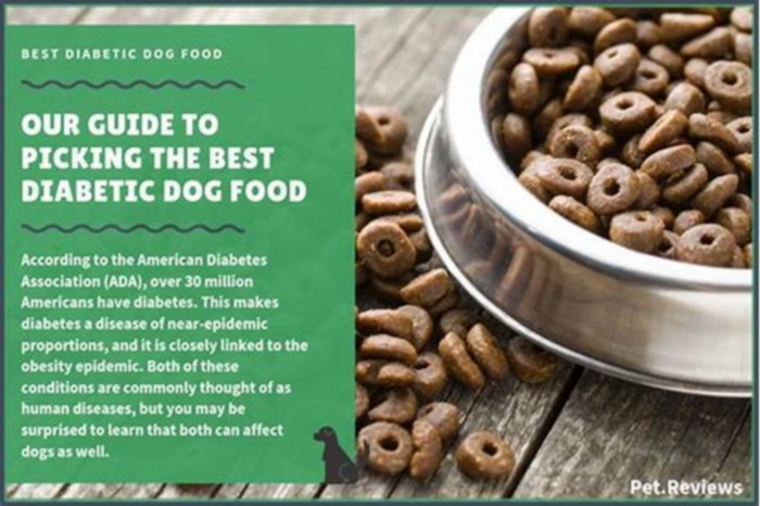 What carbs are good for diabetic dogs?