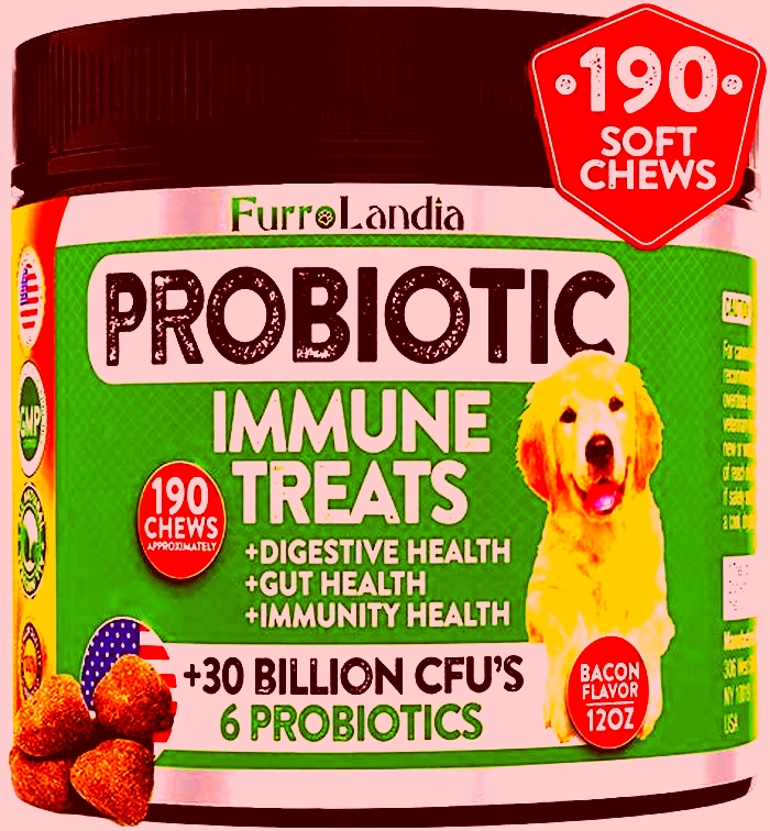 What foods are probiotics for dogs?