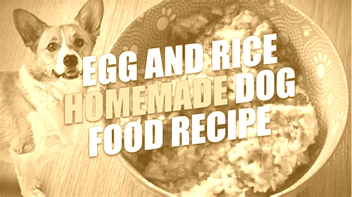 What is a good substitute for rice in dog food?