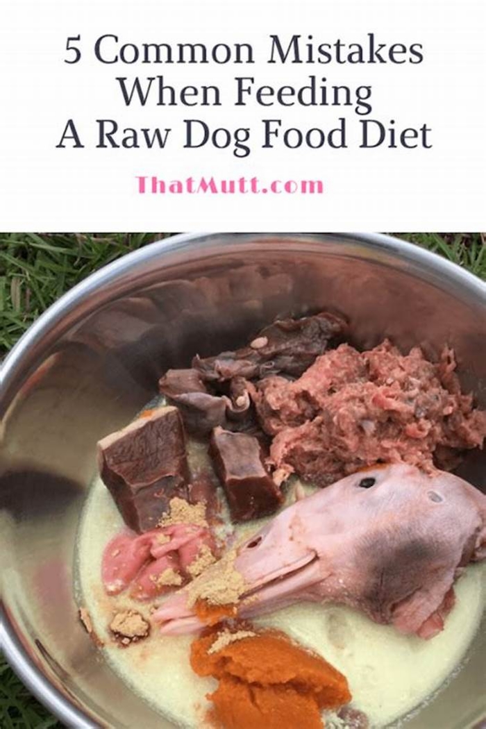 What is a negative of a raw diet for dogs?