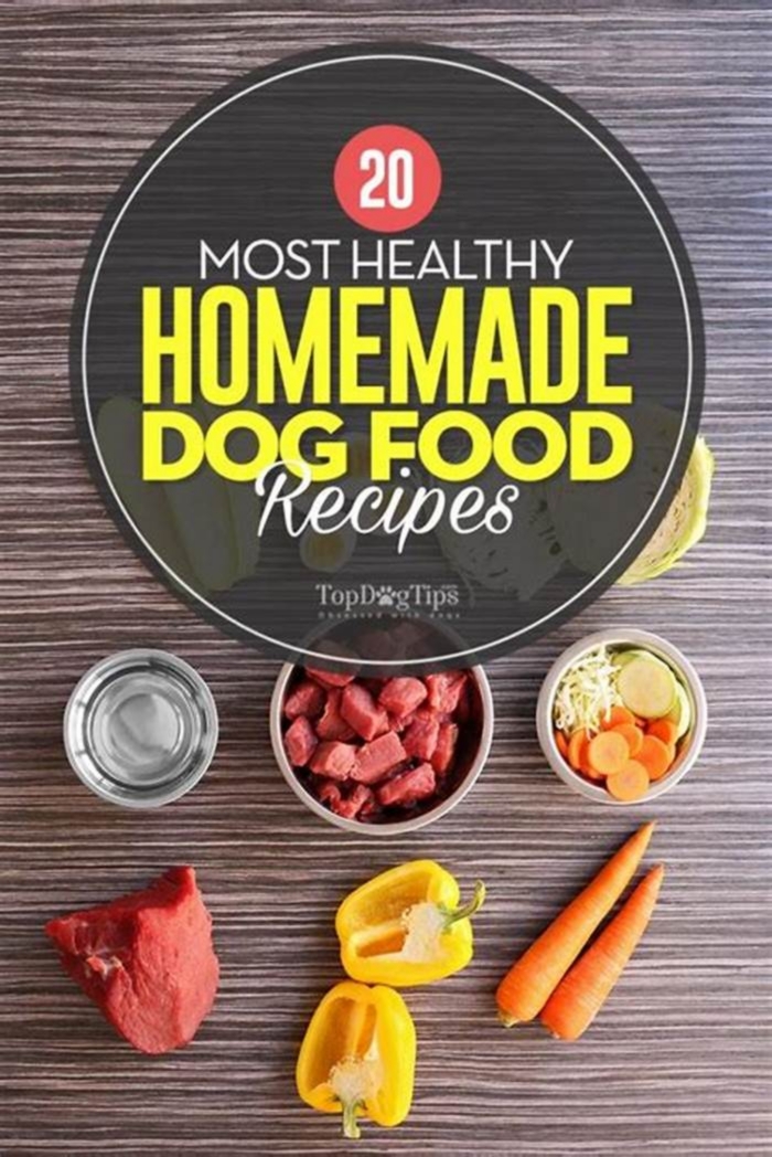 What is the best carb for homemade dog food?