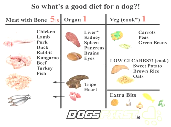 What meat can dogs eat every day?