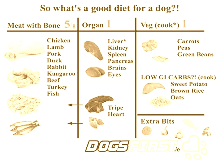 What meat is most digestible for dogs?