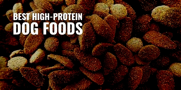 what foods are high in protein for dogs