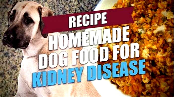 what is the best homemade diet for dogs with kidney disease