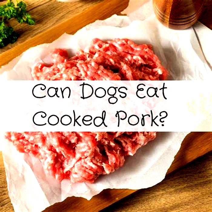 Why is cooked pork bad for dogs?